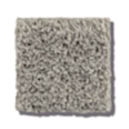 Shaw New Rochelle Porpoise Texture Carpet with Pet Perfect Plus-Sample